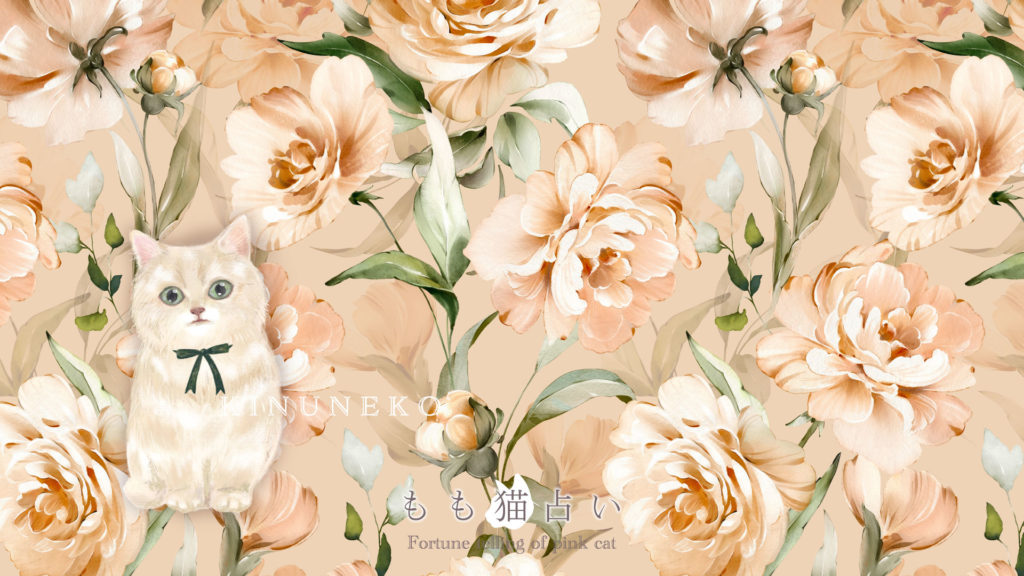 きぬ猫壁紙 パソコン用