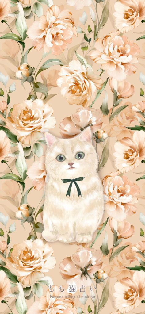 きぬ猫壁紙 スマホ用