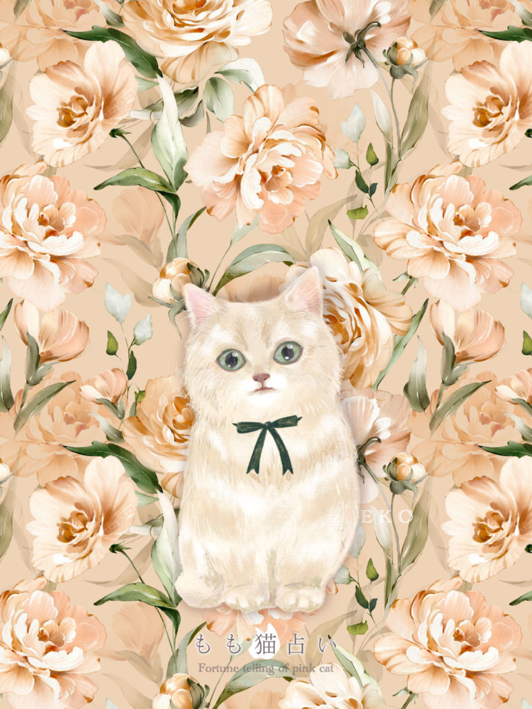 きぬ猫壁紙 タブレット用