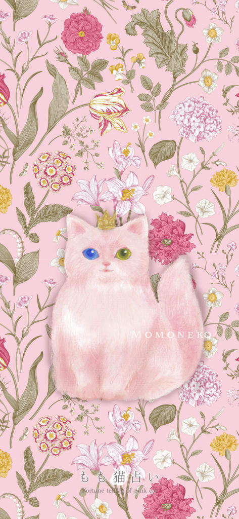 もも猫壁紙 スマホ用