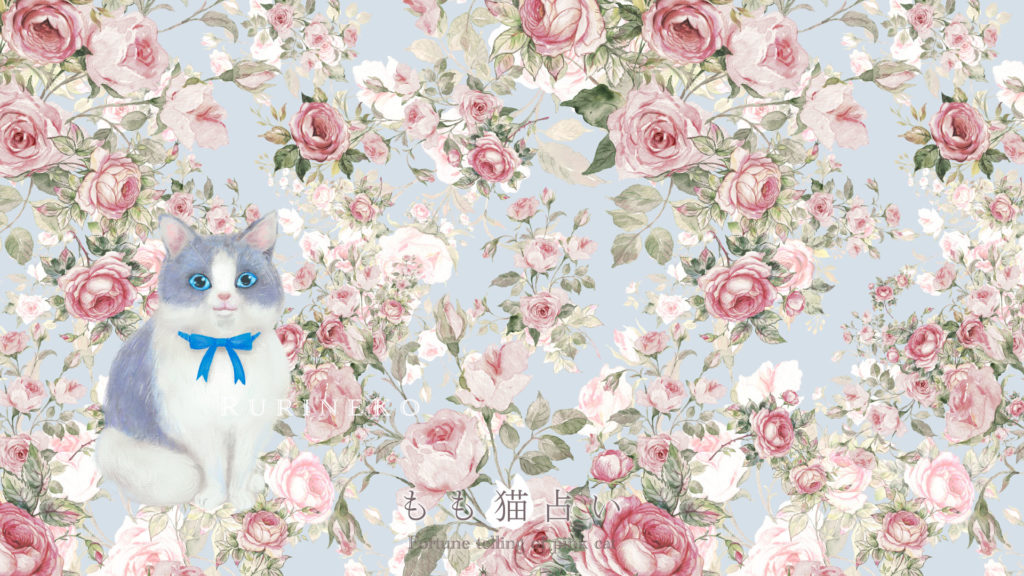 るり猫壁紙 パソコン用