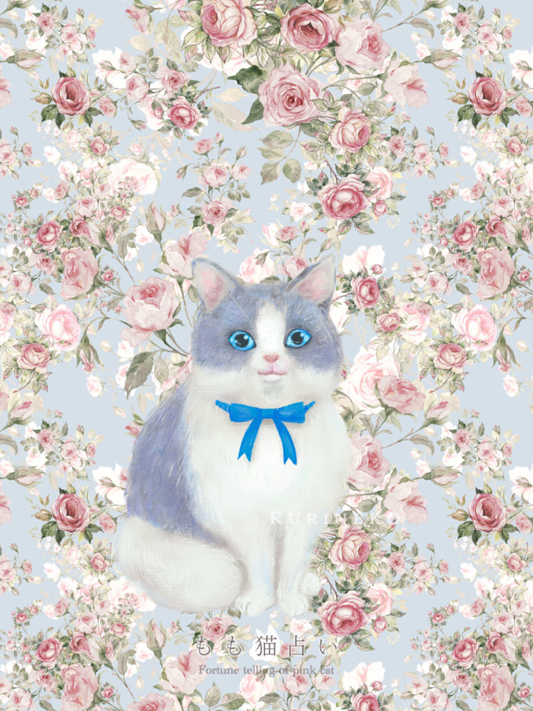 るり猫壁紙 タブレット