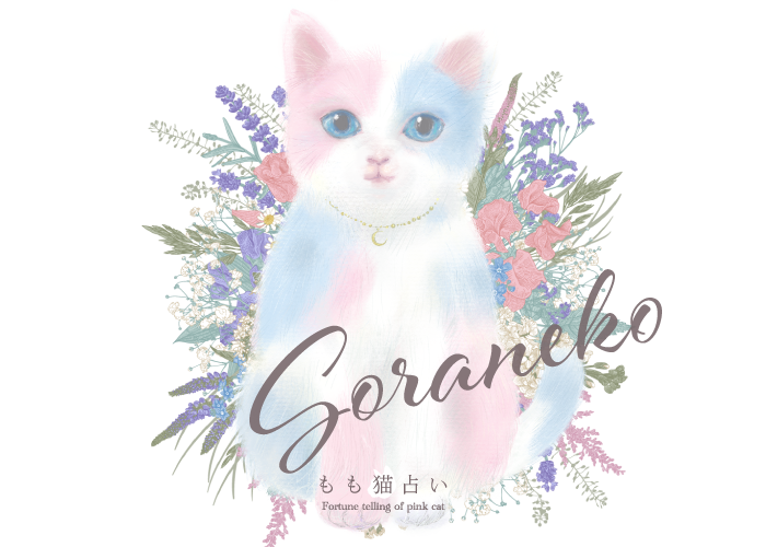 そら猫 | もも猫占いのキャラクター