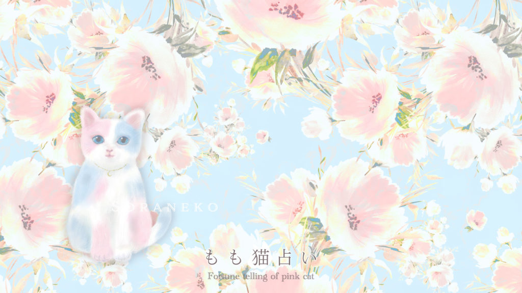 そら猫壁紙 パソコン用