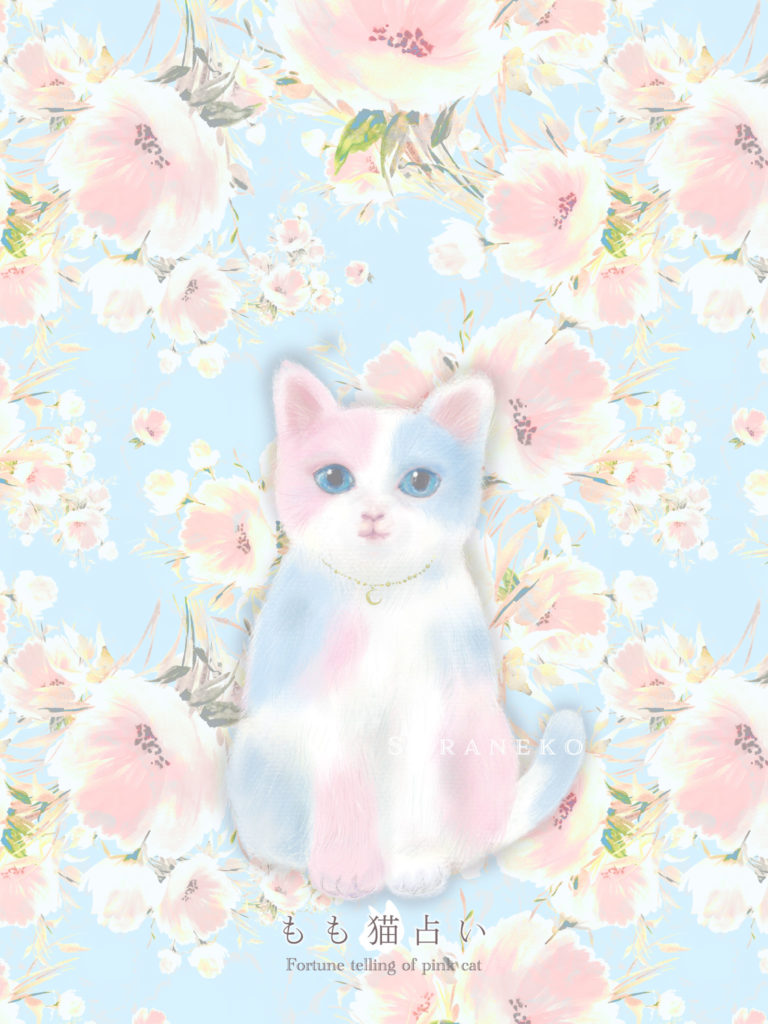 そら猫壁紙 タブレット用