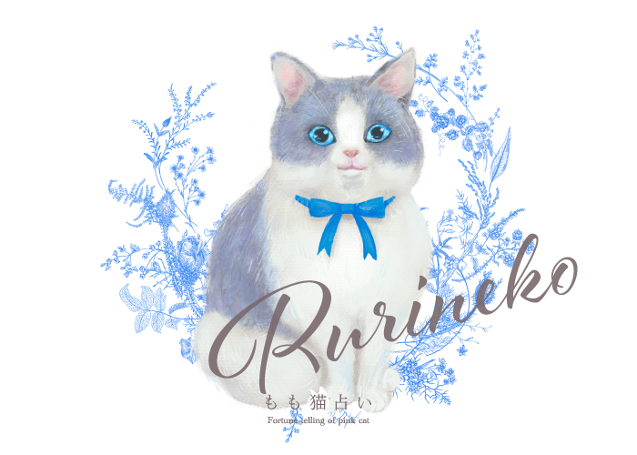 もも猫占い | るり猫