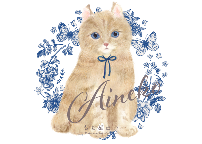あい猫