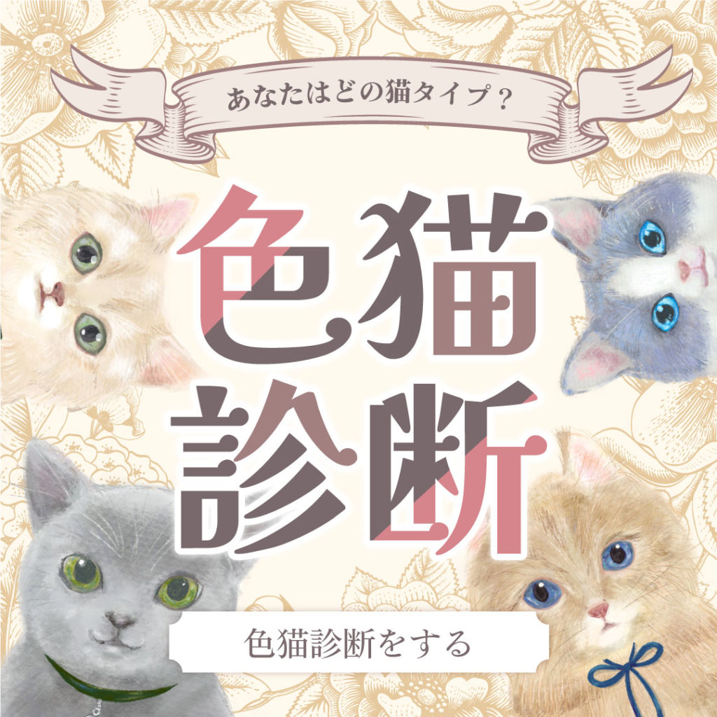 あなたは何猫タイプ？ 色猫診断